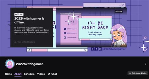 How to Customize Your Twitch Channel .